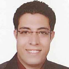 Ramy Habib, Project Engineer