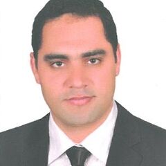 حسيني احمدي السيد ابراهيم, رئيس حسابات