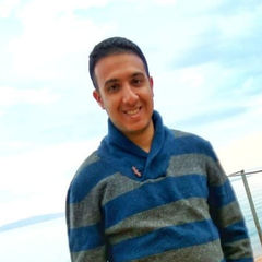 محمود عبد الوهاب, SAP Consultant