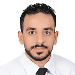 كريم سيد, IT Coordinator 