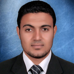 Ahmed Ragab Ali Fares,  مهندس كميائيى