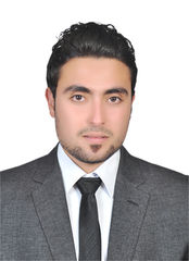 bassem ali, project manager