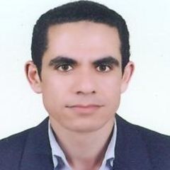 Mohammed Faramawy, Sr. Oracle Developer