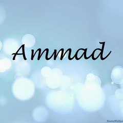 Ammad Zia