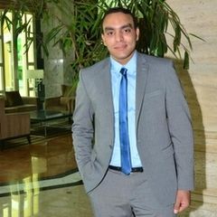 هيثم المحمدي, Senior Project Manager