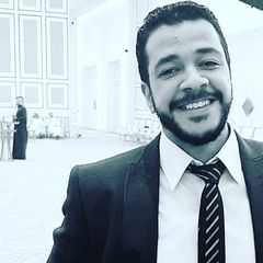 mohamed yehya nasr eldin, Technical Sales Manager