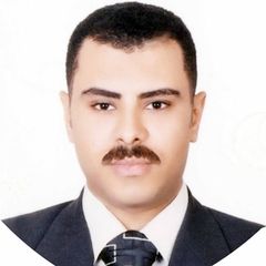 sherif mostafa, IT Manager
