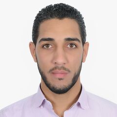 Ali Bakry, مهندس كهرباء