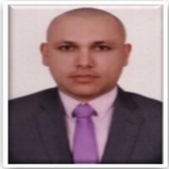 Mohamed Okely, Forex Trader