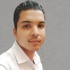 Hossam Refay Fathy Hafez Refay Fathy Hafez