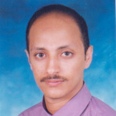 أحمد عبد الله, Business Development Manager