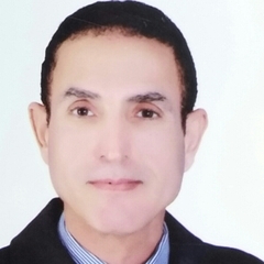 Hamdi Abdelghani Mohammed  Ibrahim  