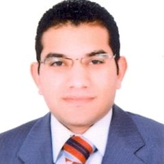 Marwan Abd El Aal, Financial Manager