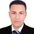 Mahmoud tyseer, senior accountant