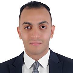 Mohamed Gamal Hassan Mahmoud Mahmoud, GIS Analyst