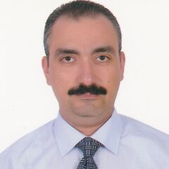 Yasser Farouk, CHIEF ACCOUNTING OFFICER 