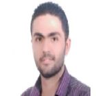 Badr Mostafa Badr, Planning And Governance Analyst