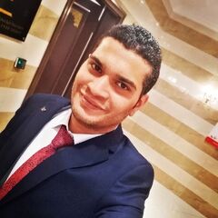 Tarek Galal, Financial Accountant