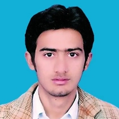 Engineer Arsalan