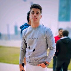 Mohamed Fathallah  Elfadaliy