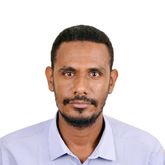 Mahmoud Gaily, Remote Sensing and GIS specialist
