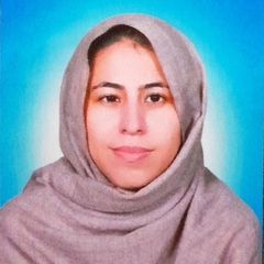 Hifza Israr, Business Development Executive