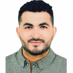 Ahmad Abdelmalek, Data Analyst