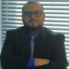 Ahmed Raafat, Channel Sales Manager