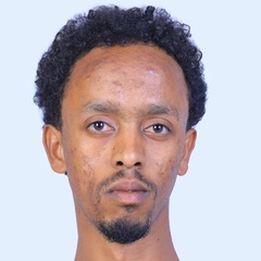 Tsegaye Mulugeta Adako