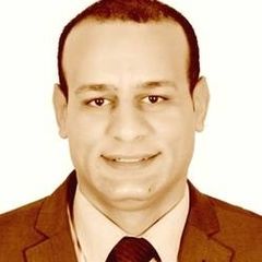 mohamed salam, قائد فريق في اتصالات مصر