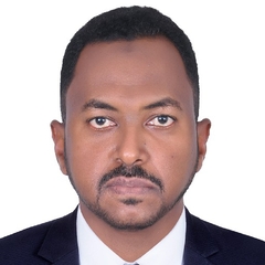 Ahmed Abdellatif Hassan Mohammed, Sales Manager