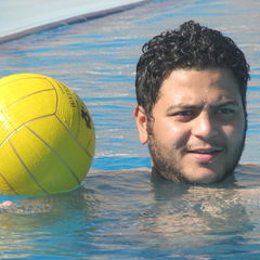 mohamed mohsen sayed abd el-hameed