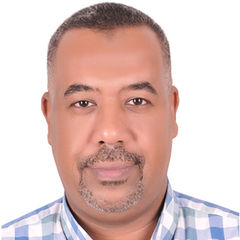 محمد سيد محمد عثمان عثمان, مدير مشروع ممثل المالك