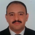 Medhat El Samahy, Project Manager