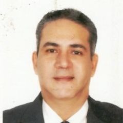 Ahmed Abdel Rahman, project manager