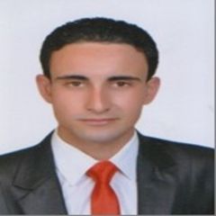 Salah Hamed, sales representative