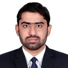 Rameez Hussain, Senior Accountant