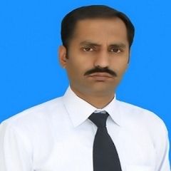 Shahid Ahmed Malik, Vice Principal