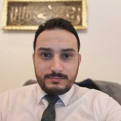 Mostafa Shafey, Employee