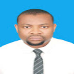 Michael Sunday Okum, HSSE LEAD OFFICER