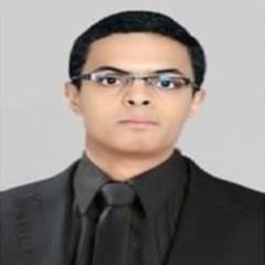 Hisham Ragab, system engineer and network admin