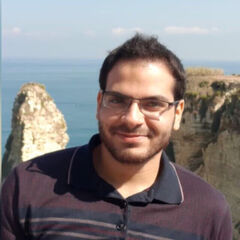 Wael Al Bach, Software Developer
