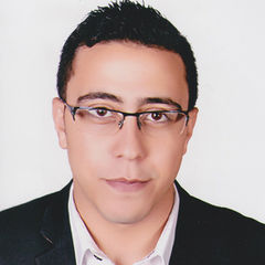 AlaaEldin Farag Mohamed Zeidan, Accounts Receivable Specialist
