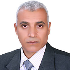 أحمد على, مدير مشروعات