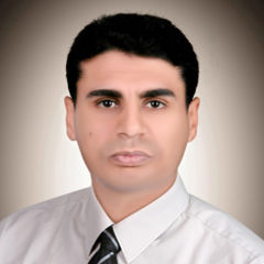 Ahmad Mostafa, Digital Marketing Manager