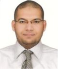 Mahmoud Saad, Electrical Transportation Engineer