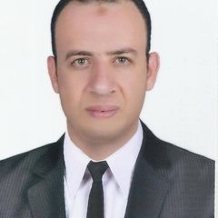 Mahmoud Kotb, مستشار قانوني