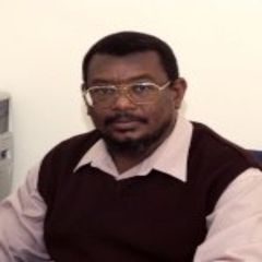 Ismail Elbashir Ali