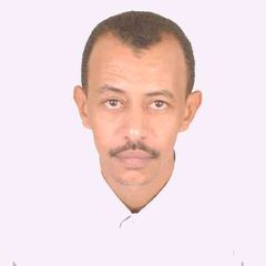 سمير صالح أبوزيد فرج, مدير قسم تقنية المعلومات والإدخال