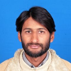 naveed iqbal